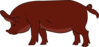 Duroc Pig Clip Art